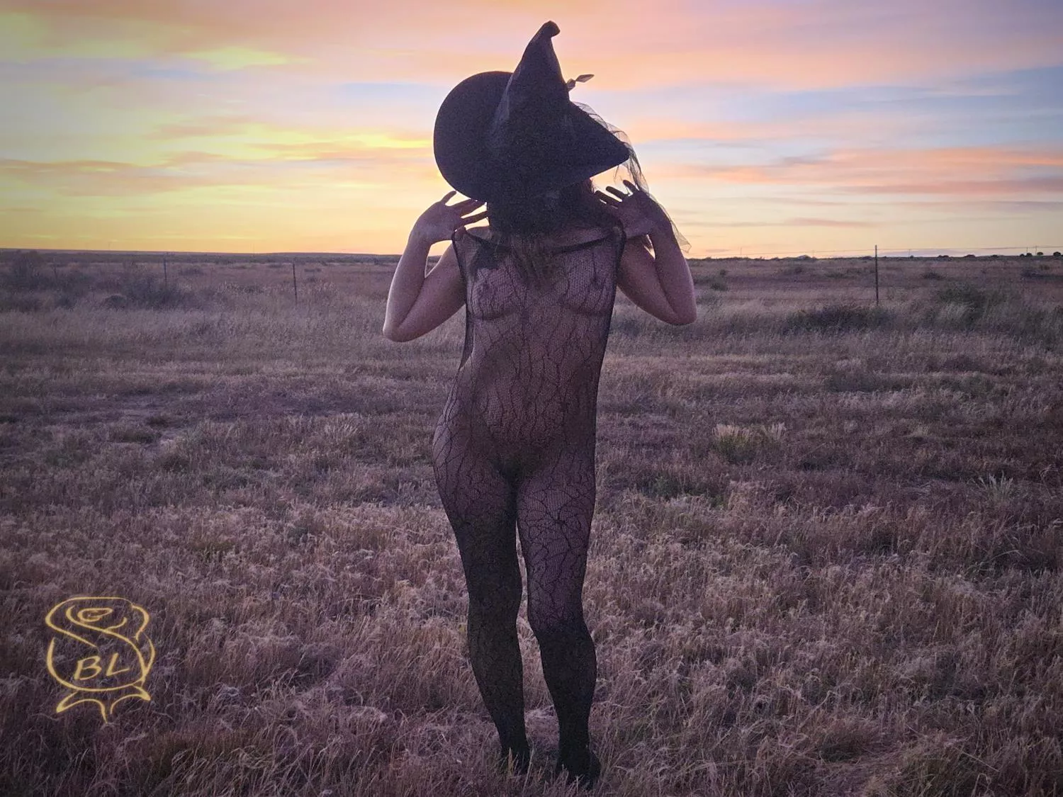 Bewitched in the Land of Enchantment