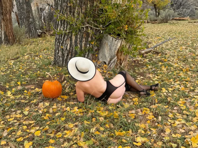 Come here my pumpkin [F]