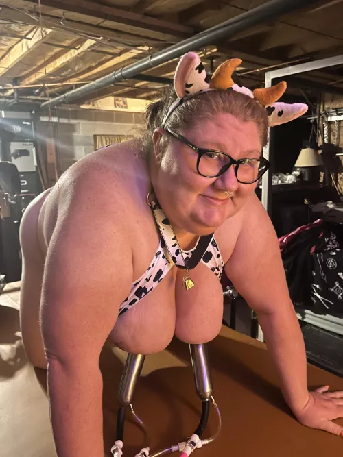 Enjoying a milker 🐮 🐄 