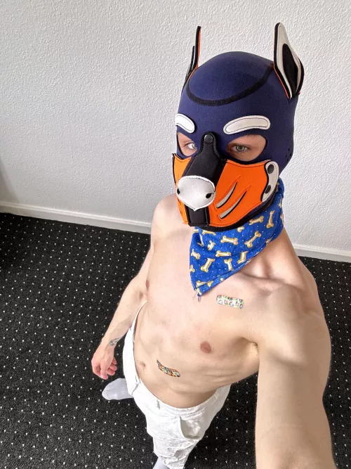 good boy or bad boy?