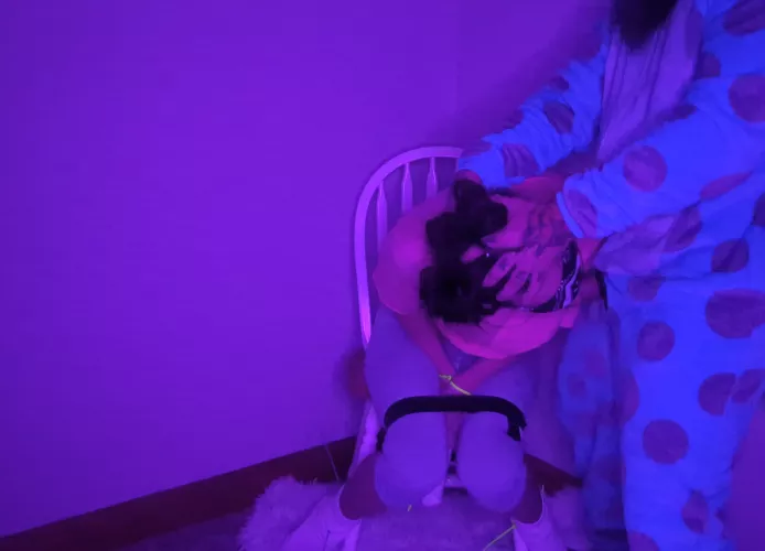 Happy Halloween from Boo and Sully