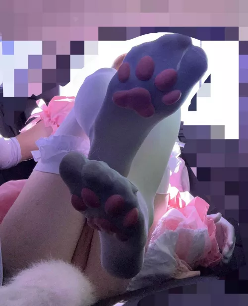 How we feel about paws