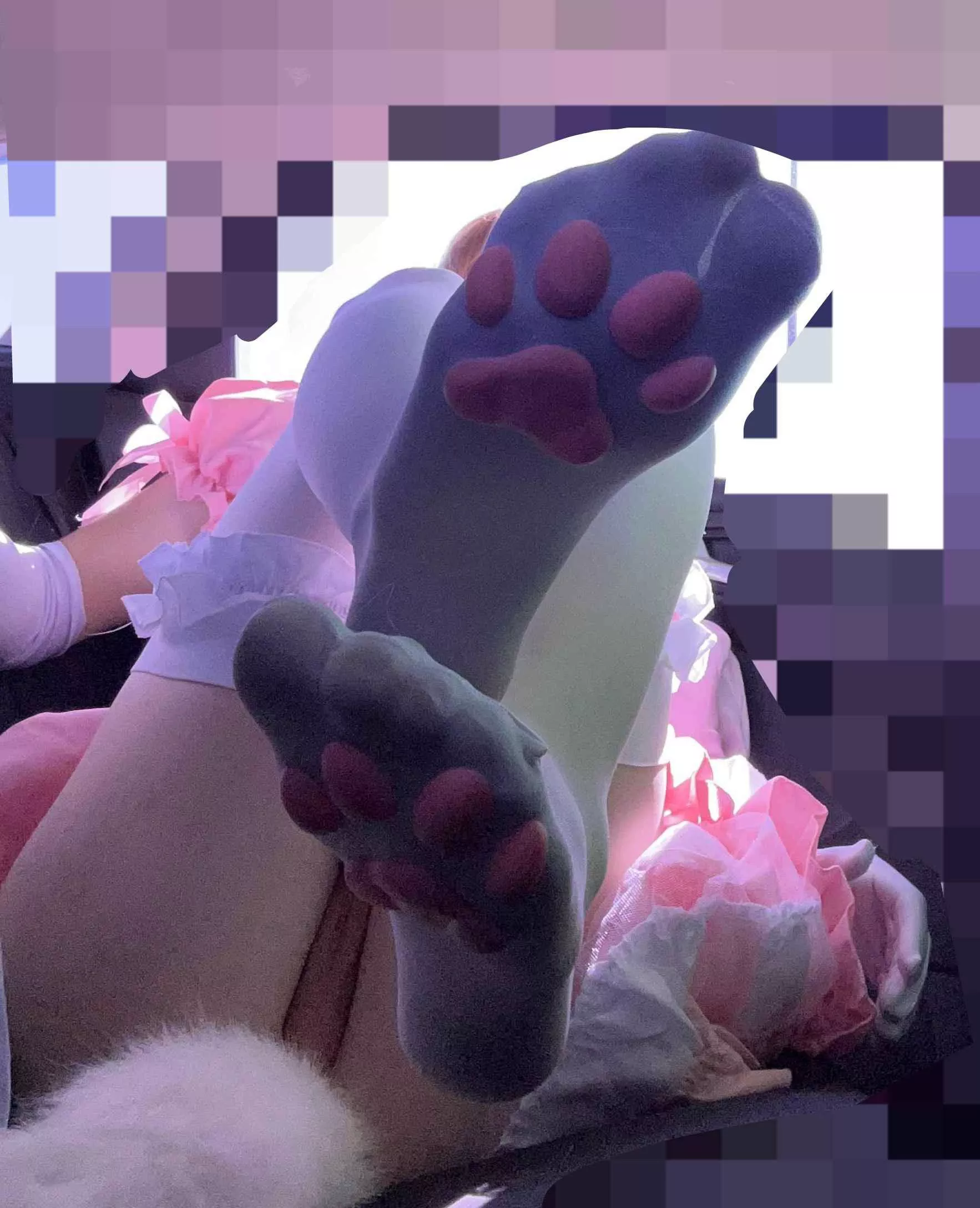 How we feel about paws