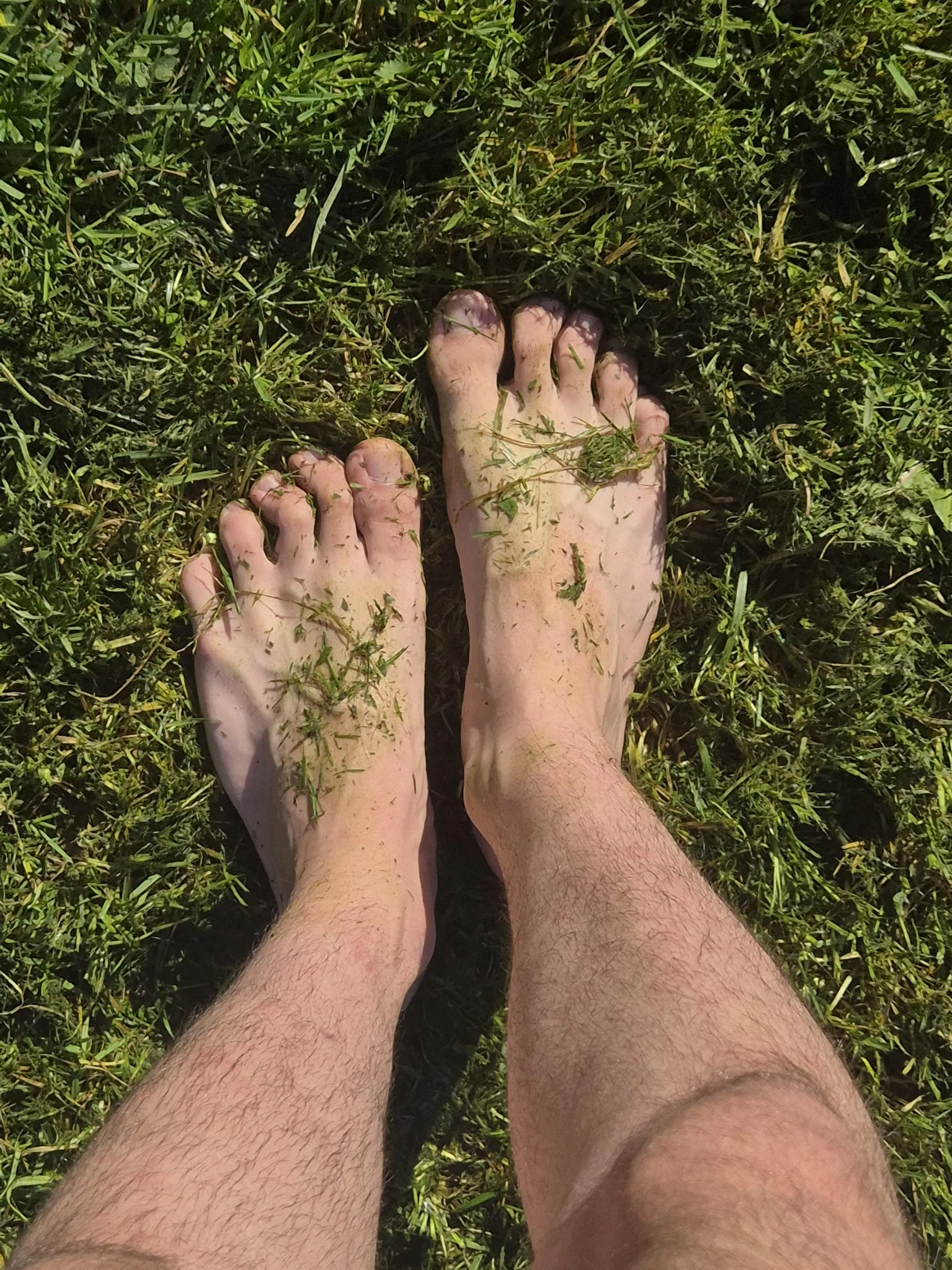 Nothing is better than my feet in the freshly mowed lawn 