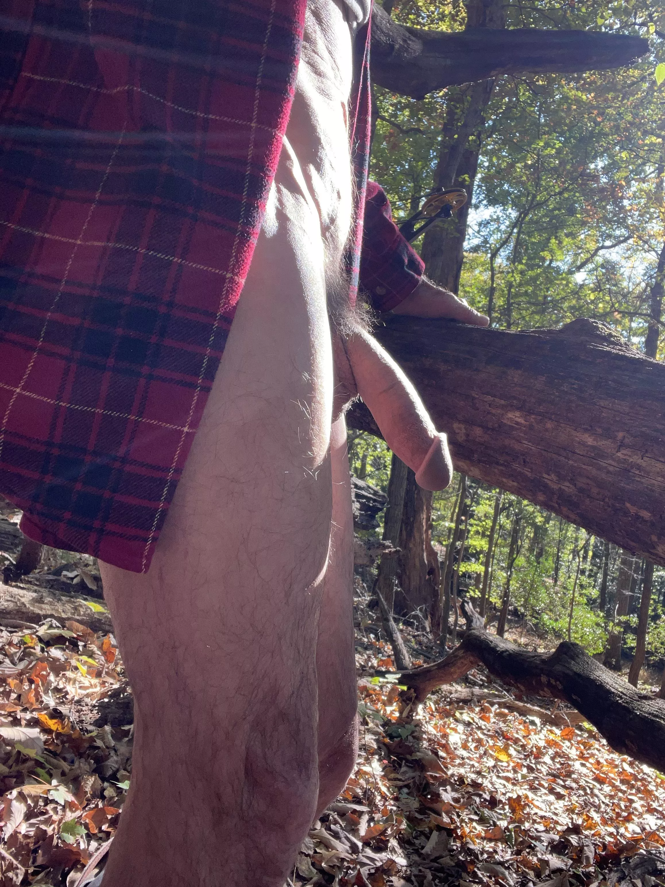  outside with the downed trees 