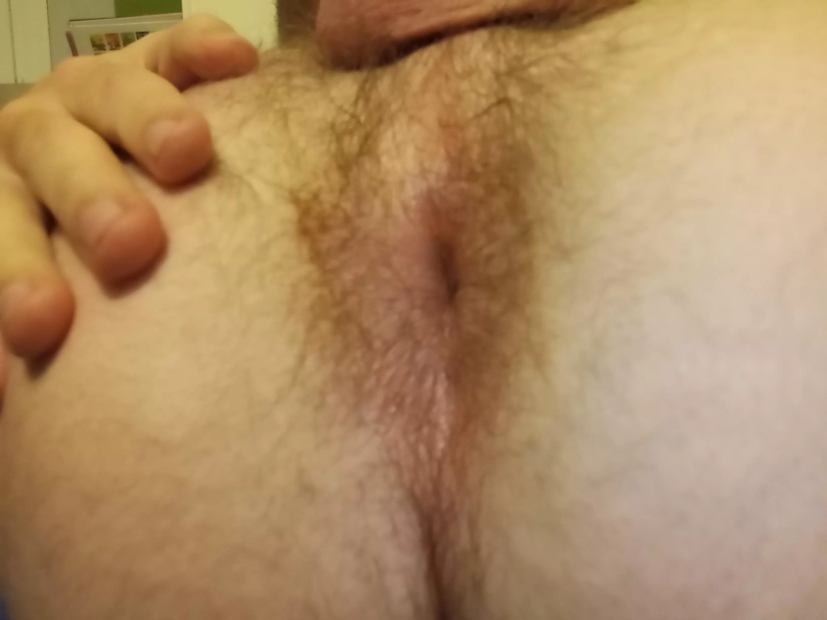 Put your nose in there. You were made to sniff stinky ass