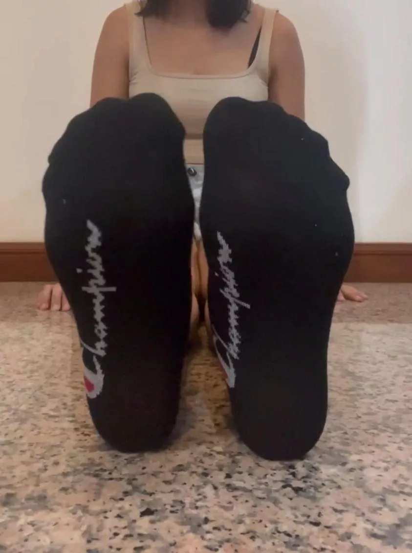 Sniff and worship my socks 🤭