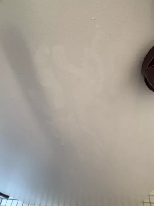 Stains from my cumshot at works restroom door 2 days ago [21]