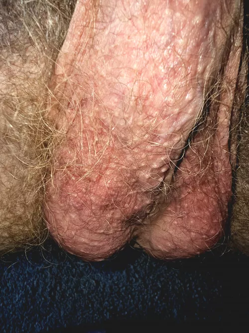 They're full of cum and need to unload in a ripe booty.