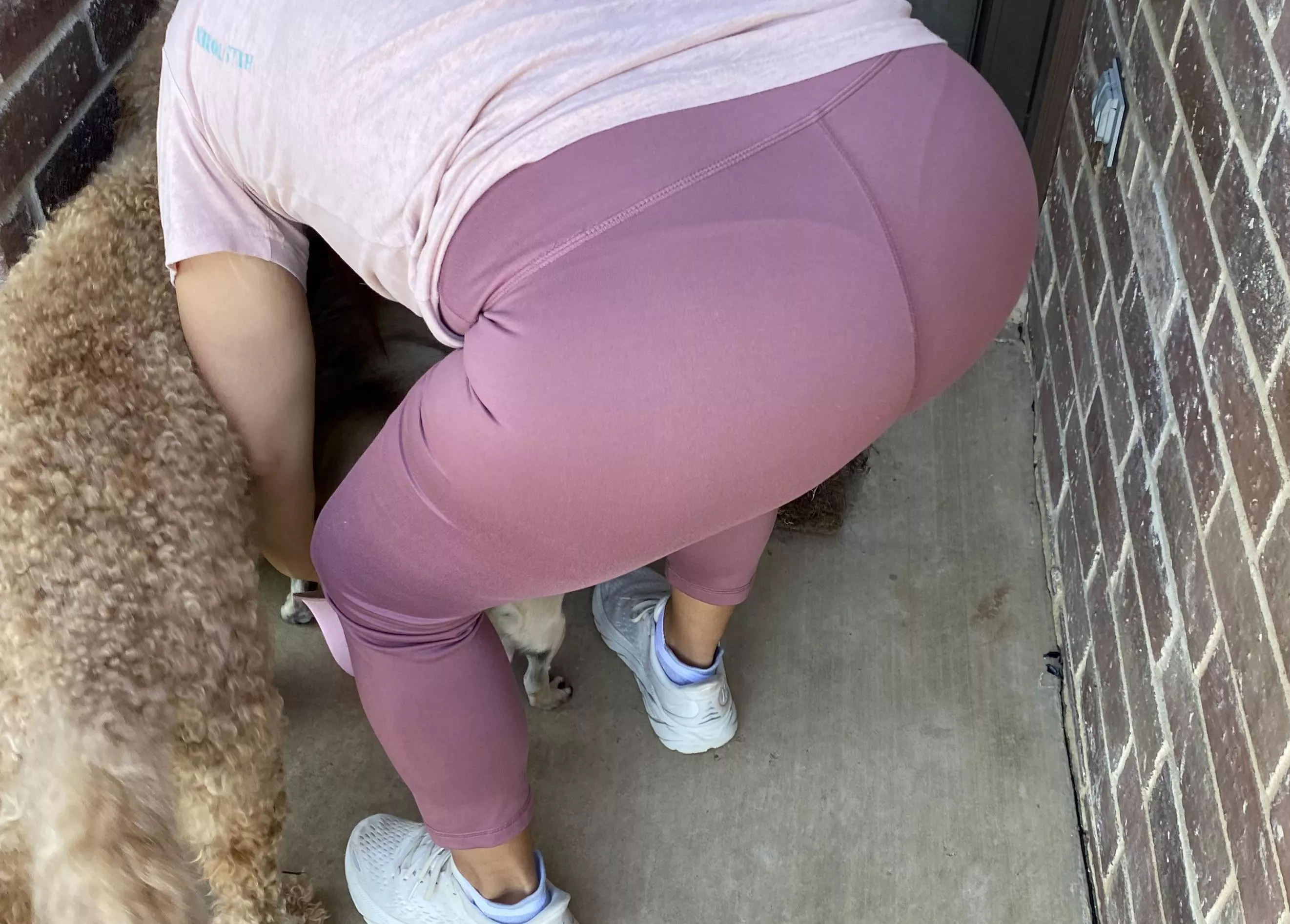 Wonder how many neighbors saw it!