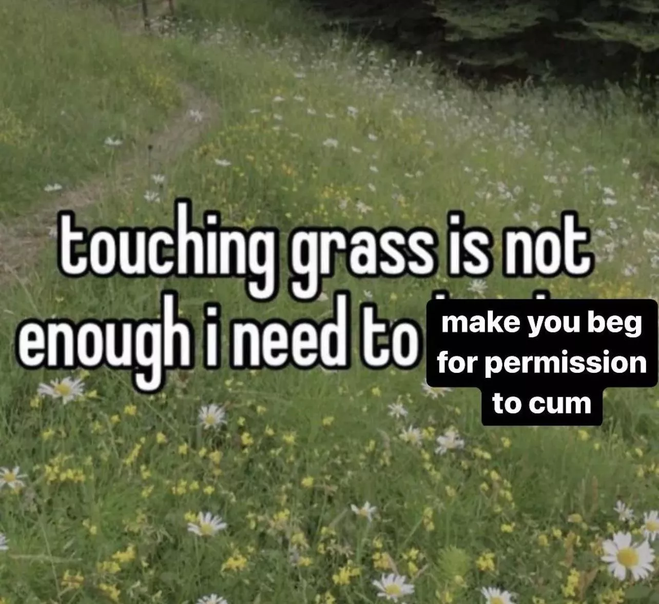 Would rather be edging a good obidient boy istead of being at my desk at work smh