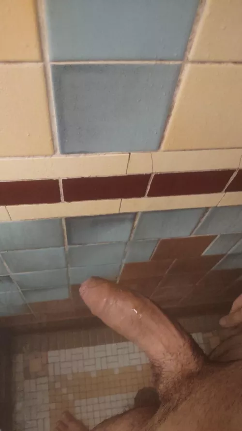 21/M4MF/F PASAIC COUNTY