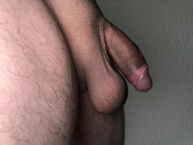 26m looking to suck some dick