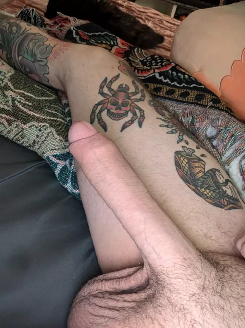 37m4f Cary 🐸 👑