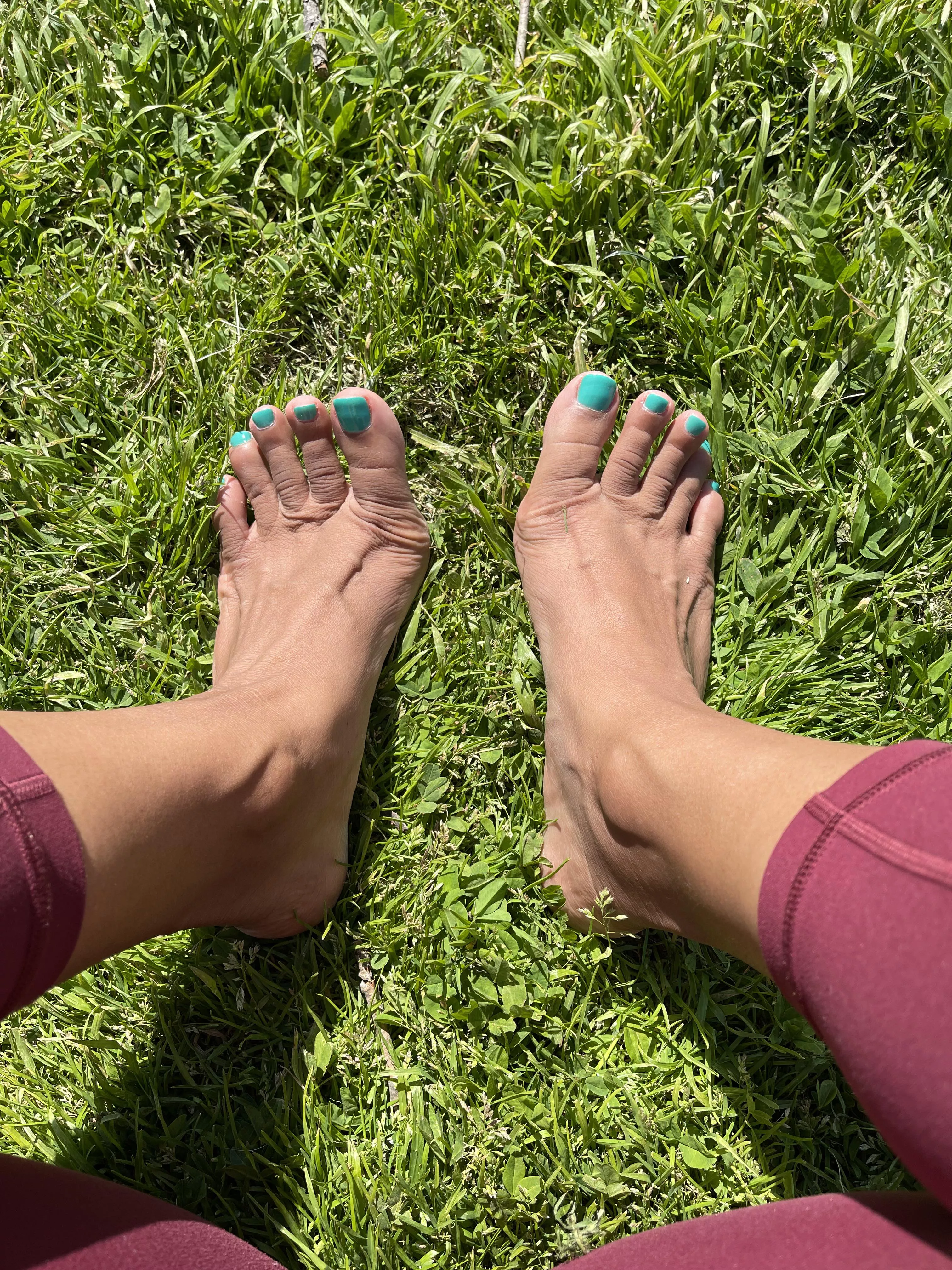 Any nature lovers (oc)