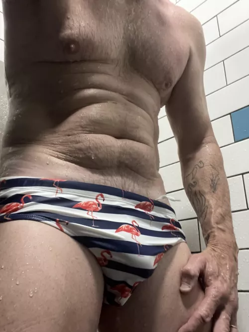 Flamingo 🦩 Friday 🏊‍♂️ 