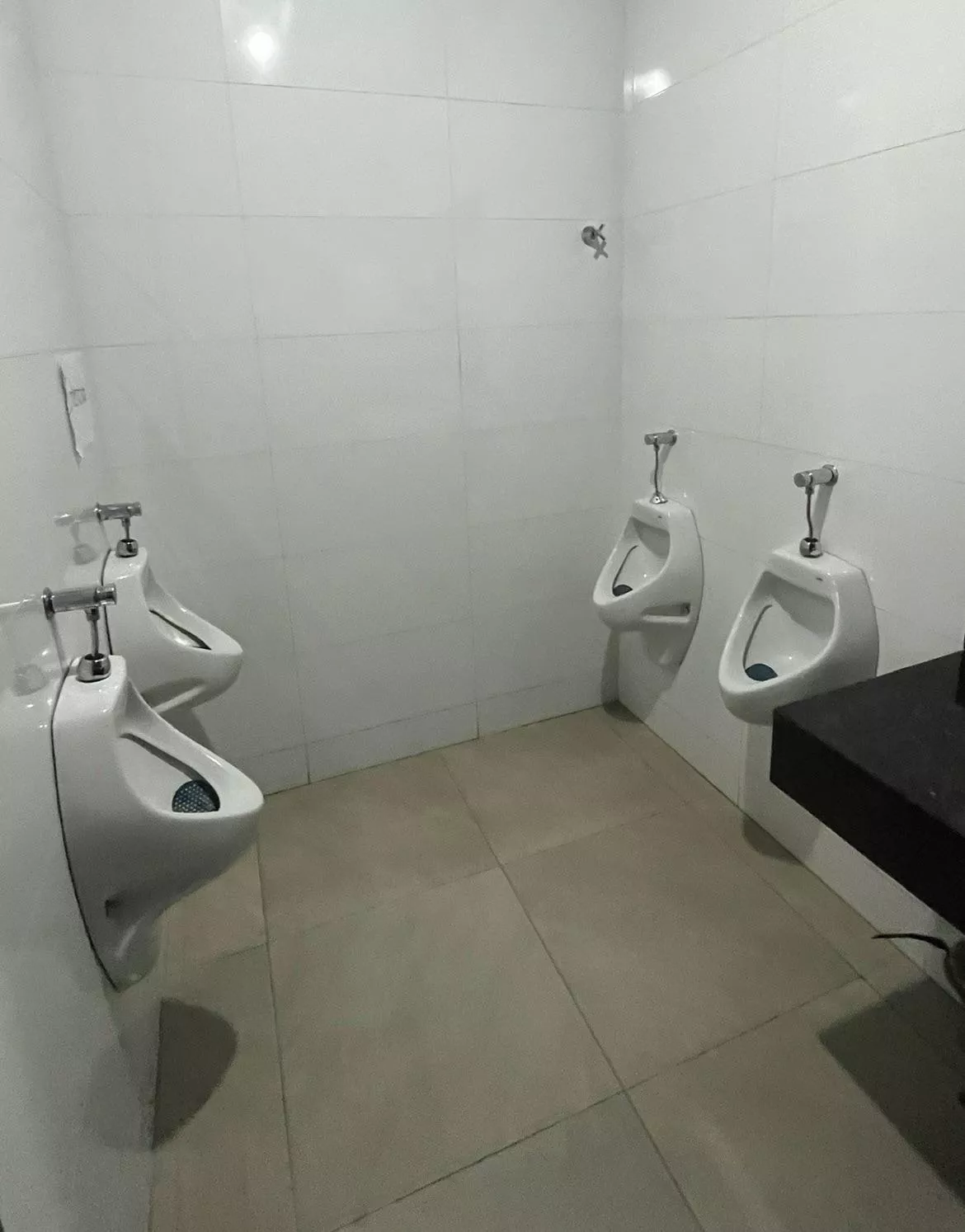 From a restaurant in Brazil. This is how all the urinals should be