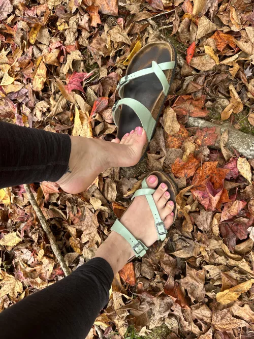 Halloween may be over, but it’s still my favorite season! 🍁