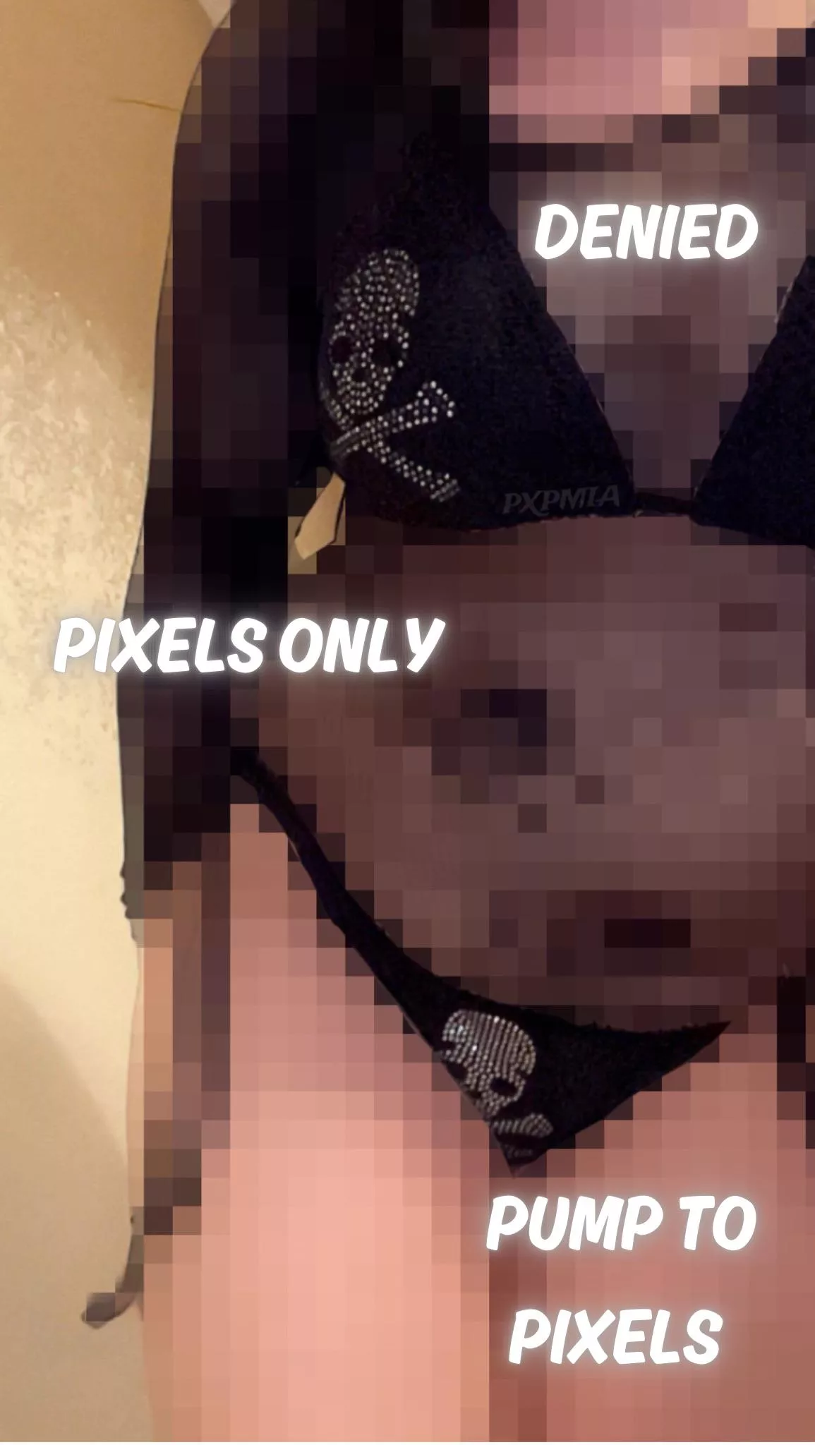 Happy late halloween loser~ Now say “thank you for the treat” ☠️