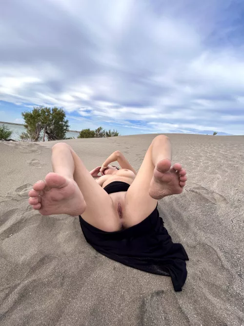 Have you ever seen a PLASTT in public?