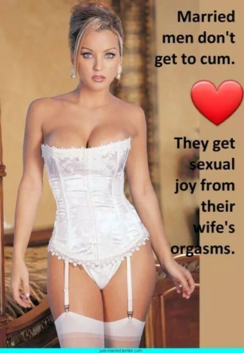 Husbands aren't there to fuck their wives. They're to support their wives as they get better sex from better cocks. 