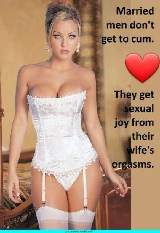 Husbands aren't there to fuck their wives. They're to support their wives as they get better sex from better cocks. 