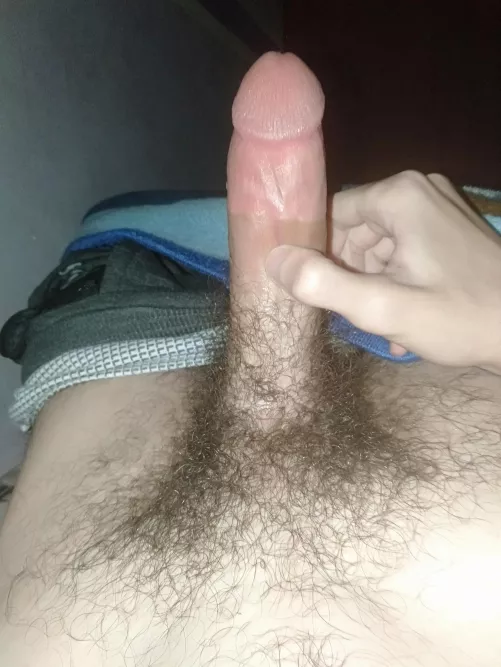 I need someone to trade with.