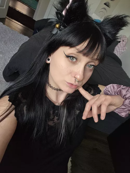 Im sorry but i think the ears are kinda cute😸