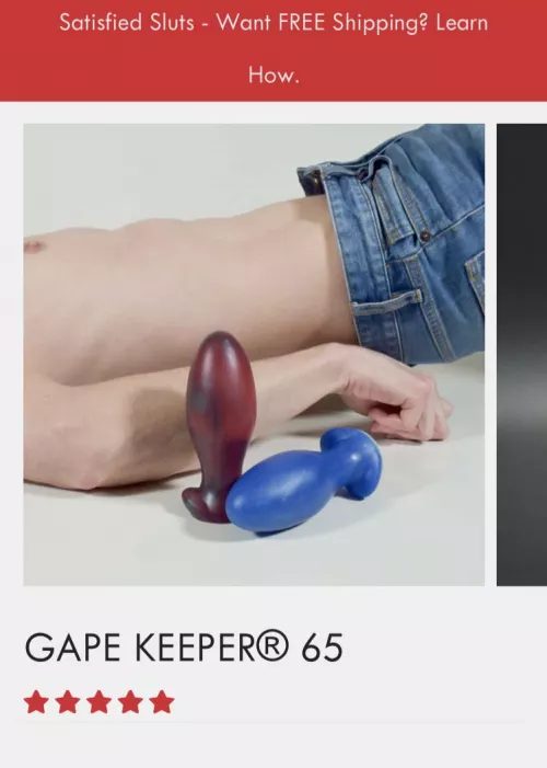 Is this plug a good choice? 