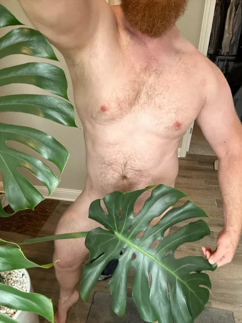 Just some plant care. Look I’m turning over a new leaf