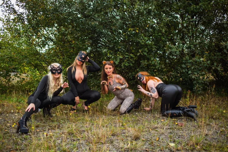 Just when you thought you could handle one Kitty , there’s now 4 ! 😻