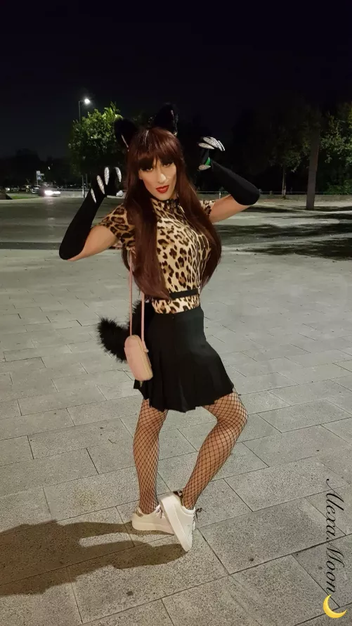 Last night Halloween party outfit 🎃👻🐆