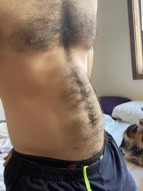 Love affair with hair