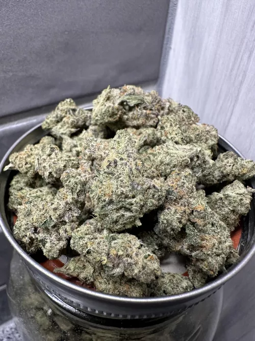 North Dallas Flowers 