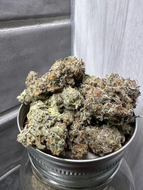 North Dallas flowers