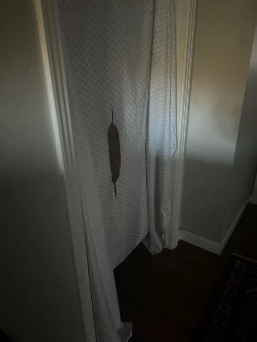 Real cocksucker MWM here looking to work your pole. Super quiet, just want to help make you cum with my mouth through my private gloryhole. Hit me up with a pic and stats. I will give you and address and time. Hosting all day/night in Green Hills. Very v