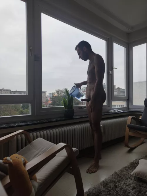 She promised me with a surprise if I water her favourite plant and here I am doing it