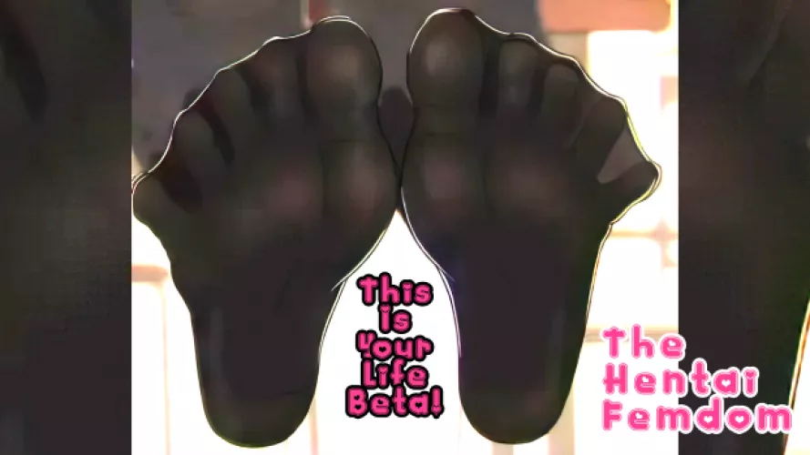 This is your entire life and existance you little sockssexual beta loser!