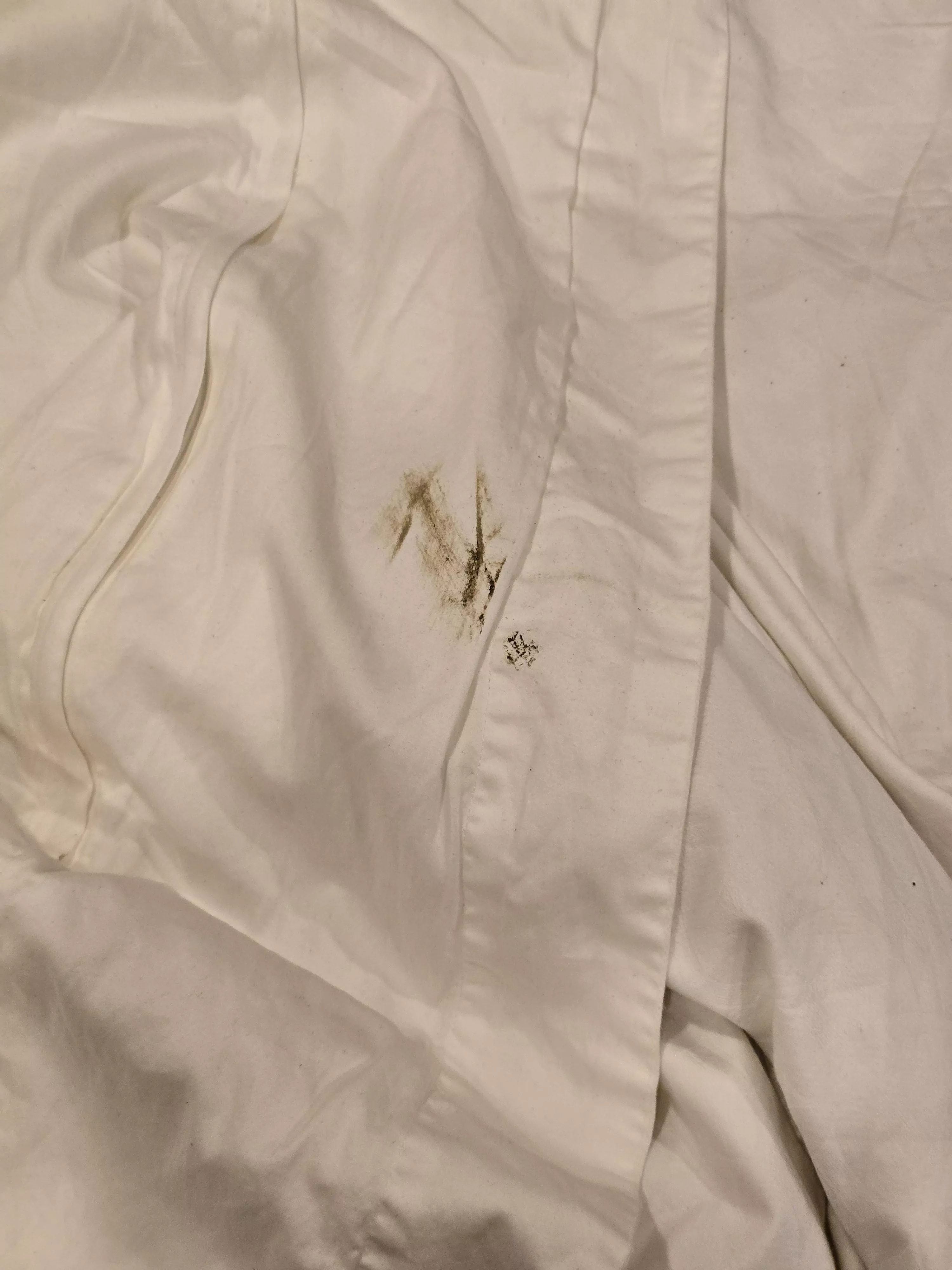 What did I do to deserve this?!? JFC, it happened AGAIN!💩🤢🤢🤢