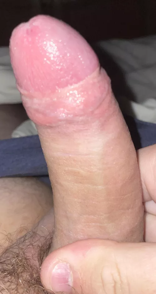 What you think ? ( dm open ) 