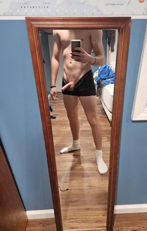 young bull in oakland county