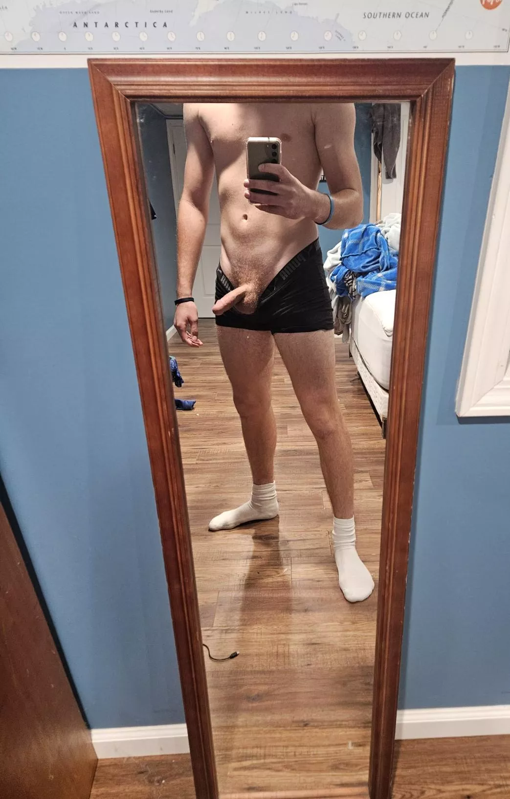 young bull in oakland county