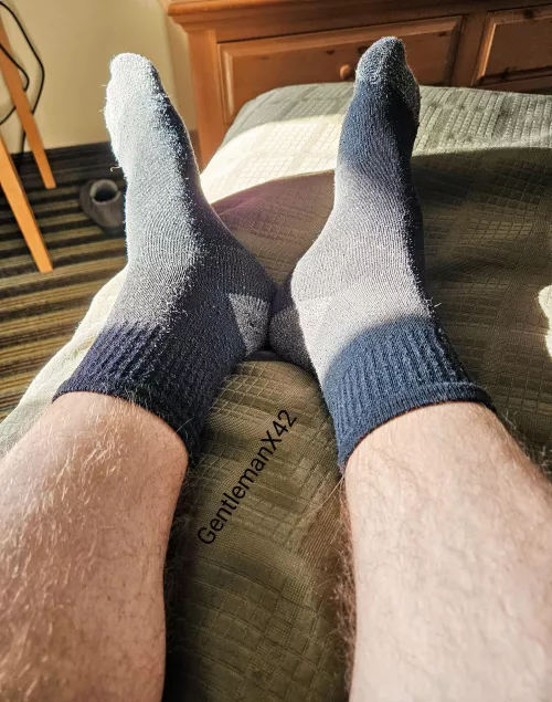 36 soaking up some afternoon sun. 