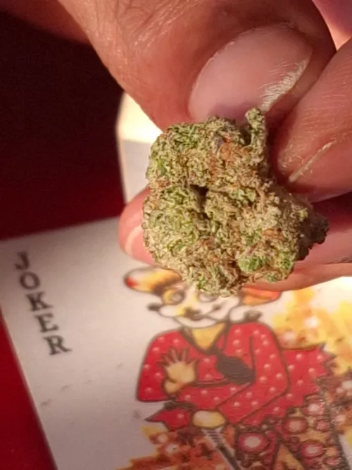 Any solid milf up for 420 chill and drill 