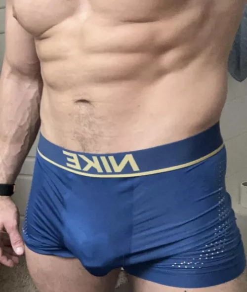 Average dad next door [38]