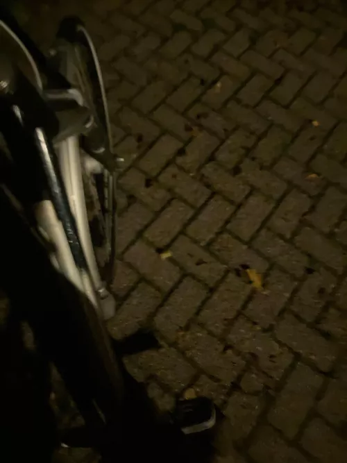 Hi wie wild me ophalen en een leuke avond hebben 