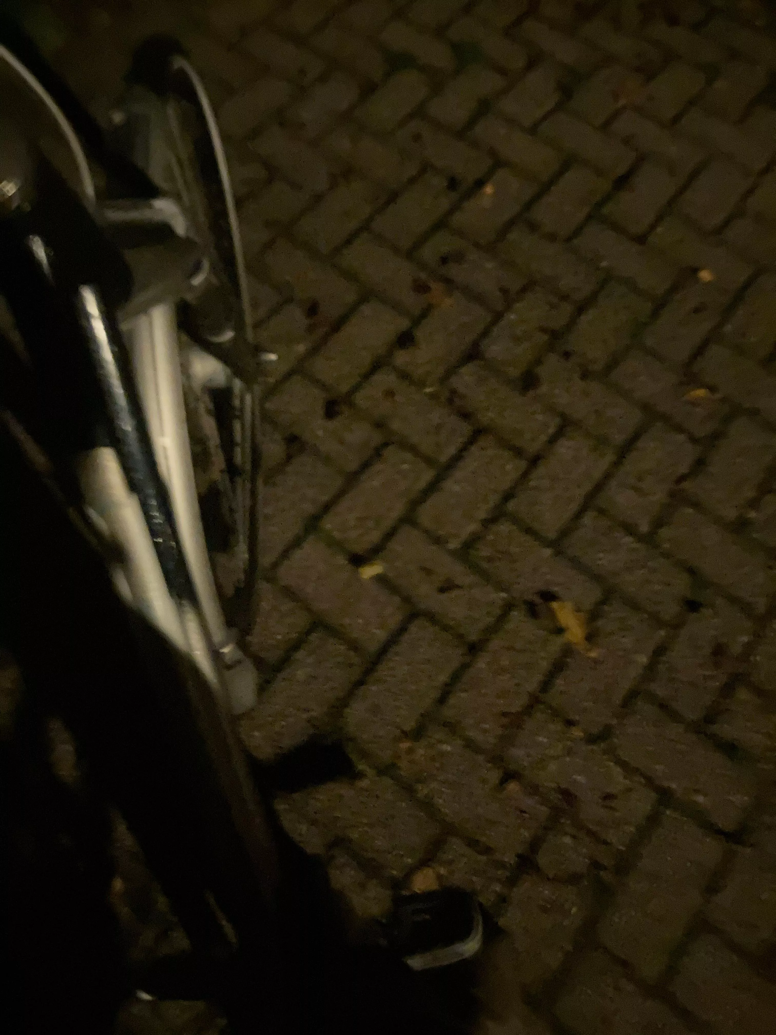 Hi wie wild me ophalen en een leuke avond hebben 