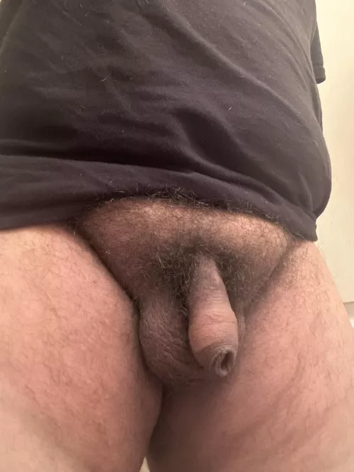 It’s been a while since I last posted. 