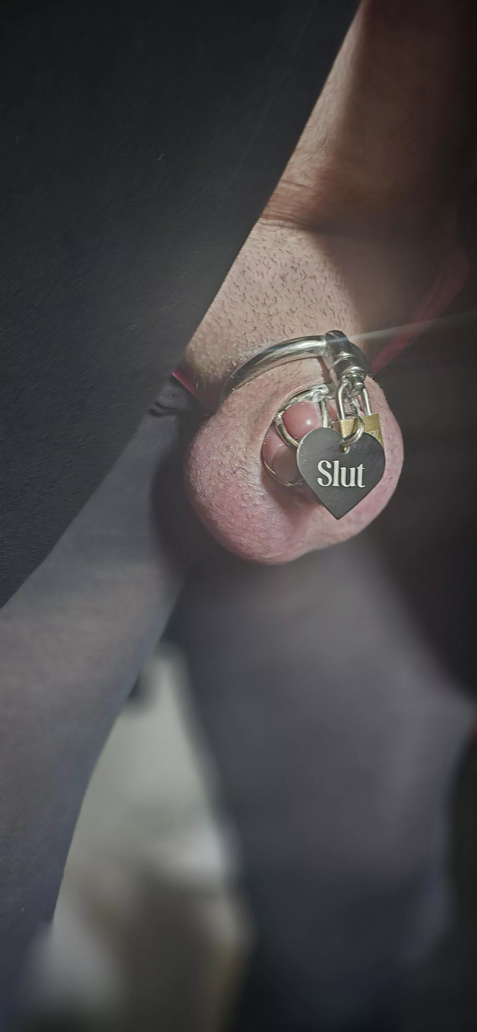 My caged partner with his new tag. 