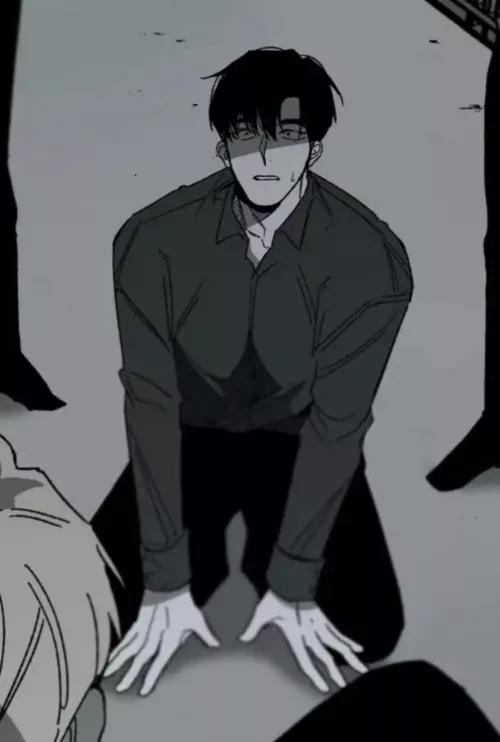 no reason is a fucking shit show